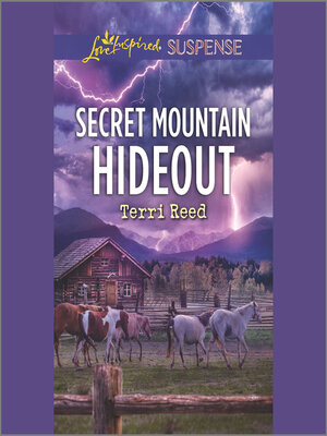 cover image of Secret Mountain Hideout